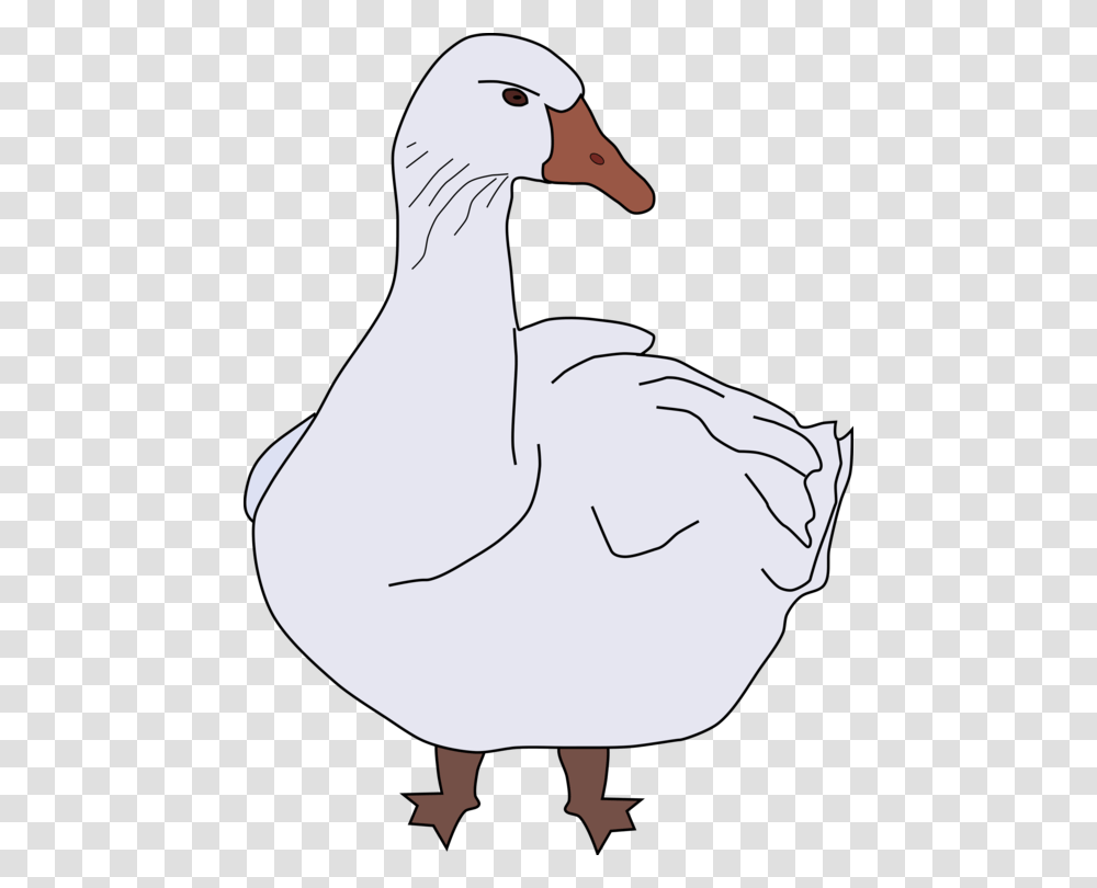 Geese Goose Clipart, Bird, Animal, Person, Human Transparent Png