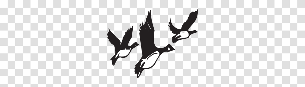 Geese Taking Off Clip Art, Animal, Mammal, Person, Cat Transparent Png