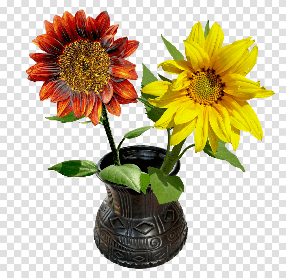 Gefllt Mir Guten Morgen, Plant, Flower, Blossom, Flower Arrangement Transparent Png