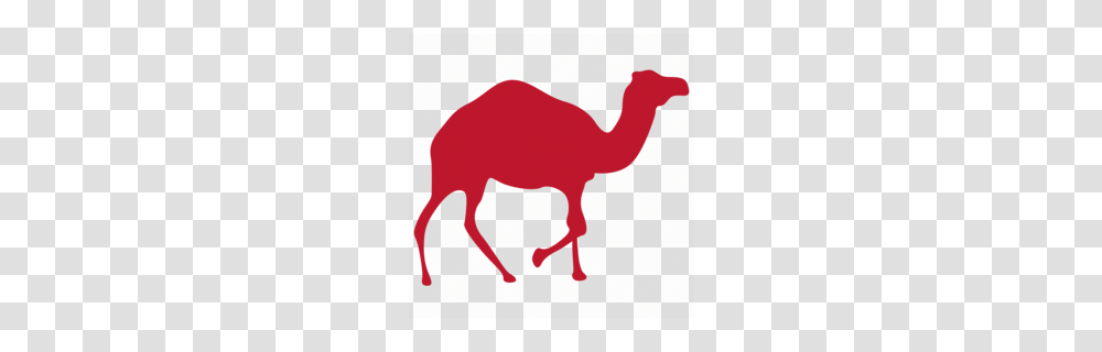 Geico Camel Clipart, Animal, Mammal Transparent Png