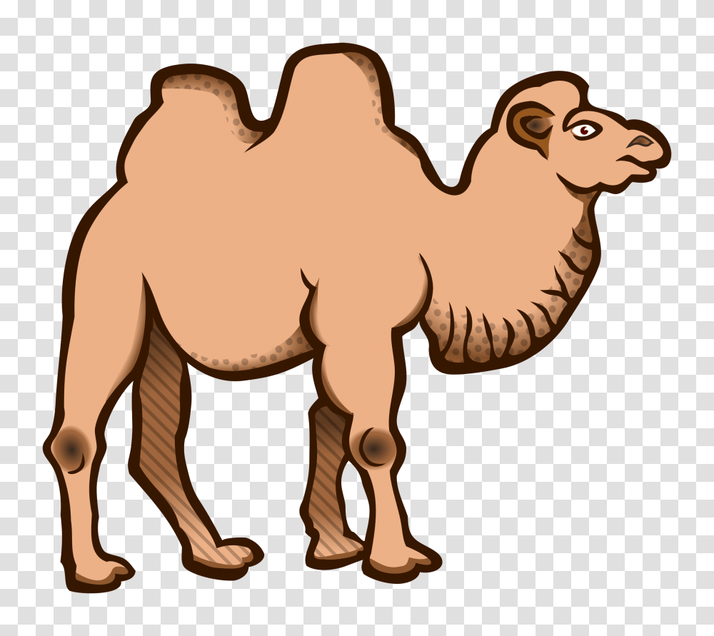 Geico Camel Clipart, Mammal, Animal, Antelope, Wildlife Transparent Png