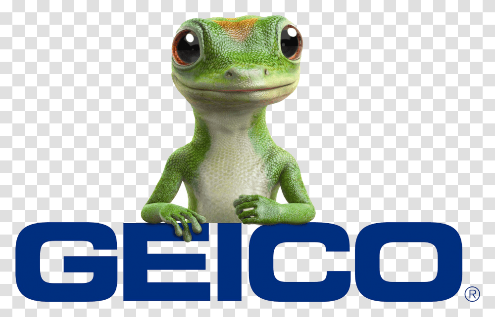 Geico Car Insurance, Gecko, Lizard, Reptile, Animal Transparent Png
