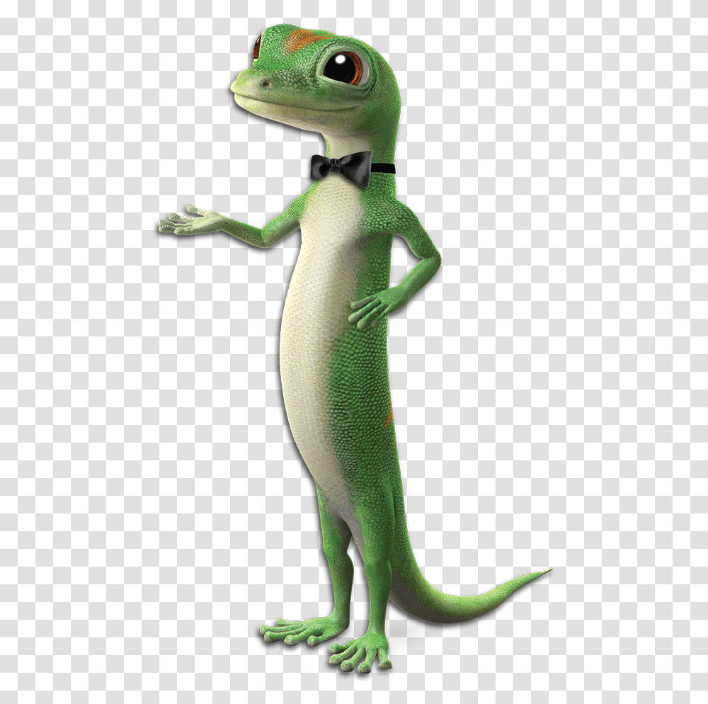 Geico Lizard Geico Gecko, Reptile, Animal, Green, Green Lizard Transparent Png