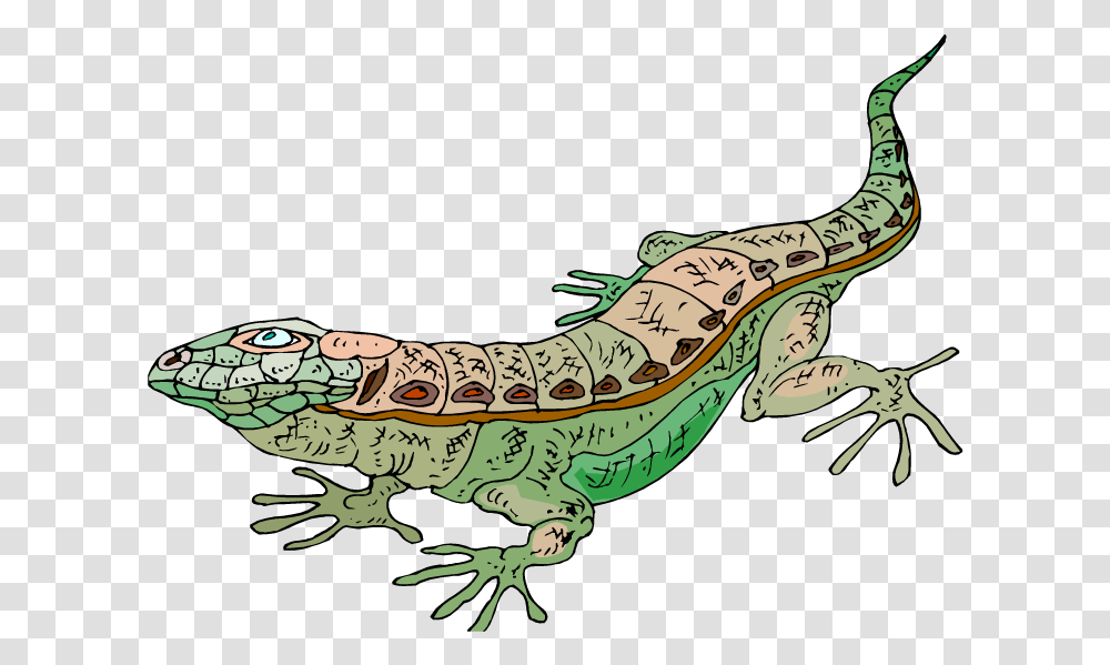 Geico Lizard Lizard, Dinosaur, Reptile, Animal, Gecko Transparent Png