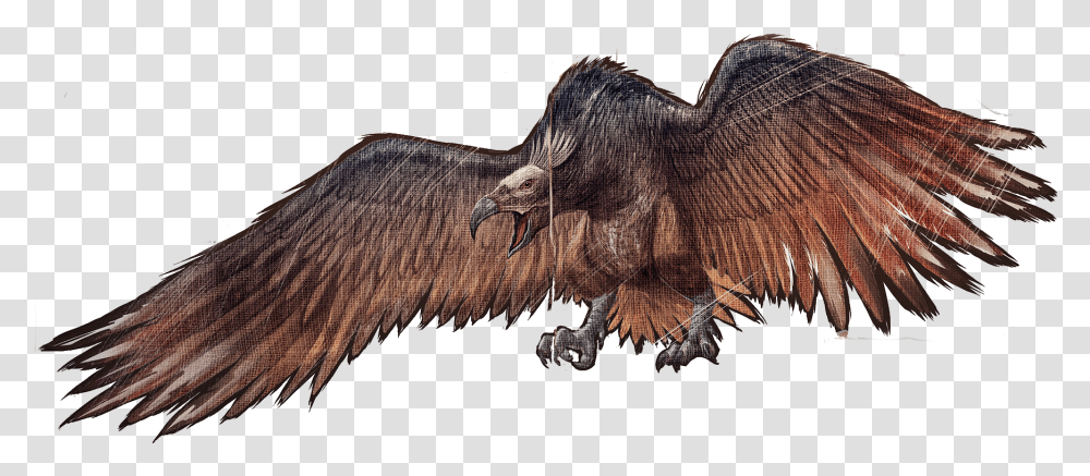 Geier Argentavis Ark, Vulture, Bird, Animal, Condor Transparent Png