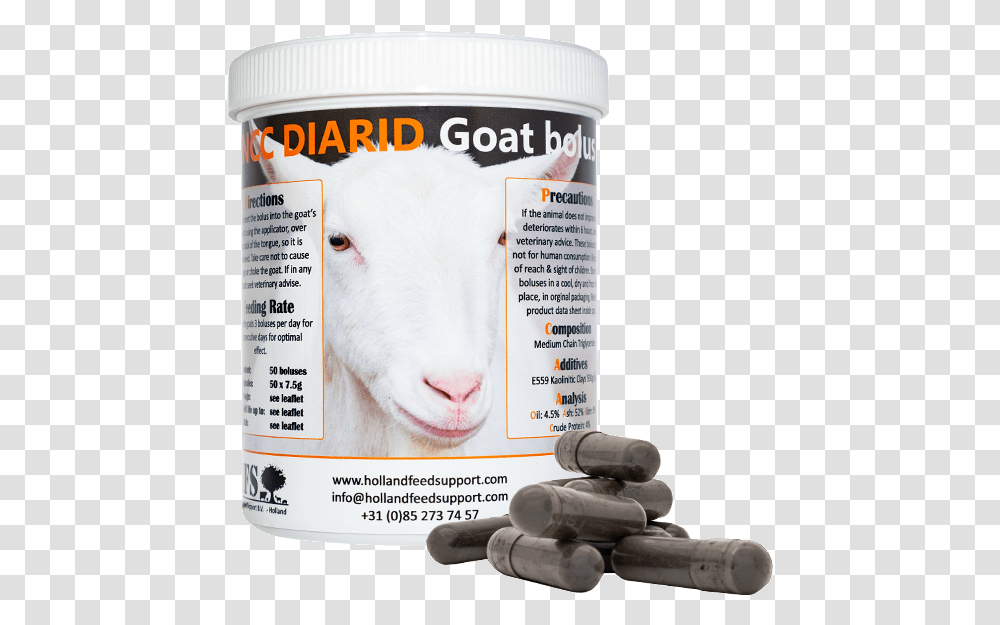 Geittransparant Sheep, Animal, Medication, Mammal Transparent Png