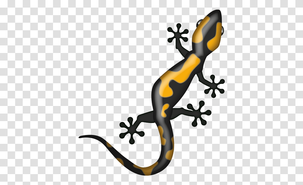 Gekkonidae, Animal, Reptile, Amphibian, Wildlife Transparent Png