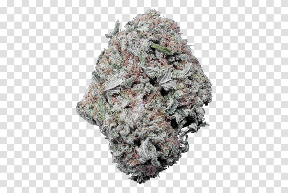 Gelato Indica Dominant Hybrid Cannabis Strain White Rhino Weed Nug, Plant, Mineral, Nature, Crystal Transparent Png
