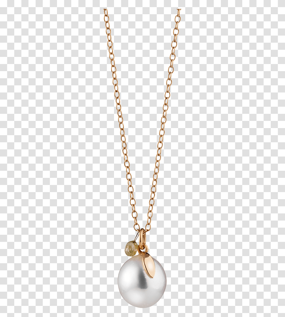 Gellner Perlen Halskette Locket, Chain, Necklace, Jewelry, Accessories Transparent Png