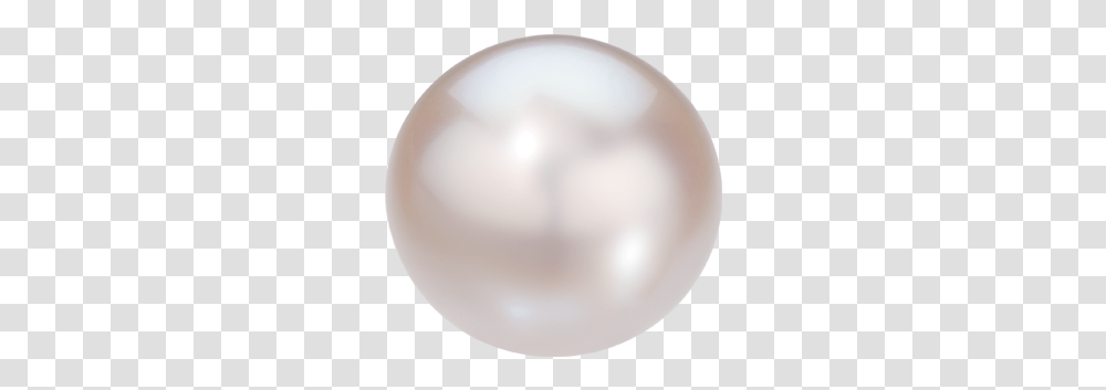 Gem In The Spotlight Pearl Adored Across Ages For Solid, Jewelry, Accessories, Accessory, Balloon Transparent Png