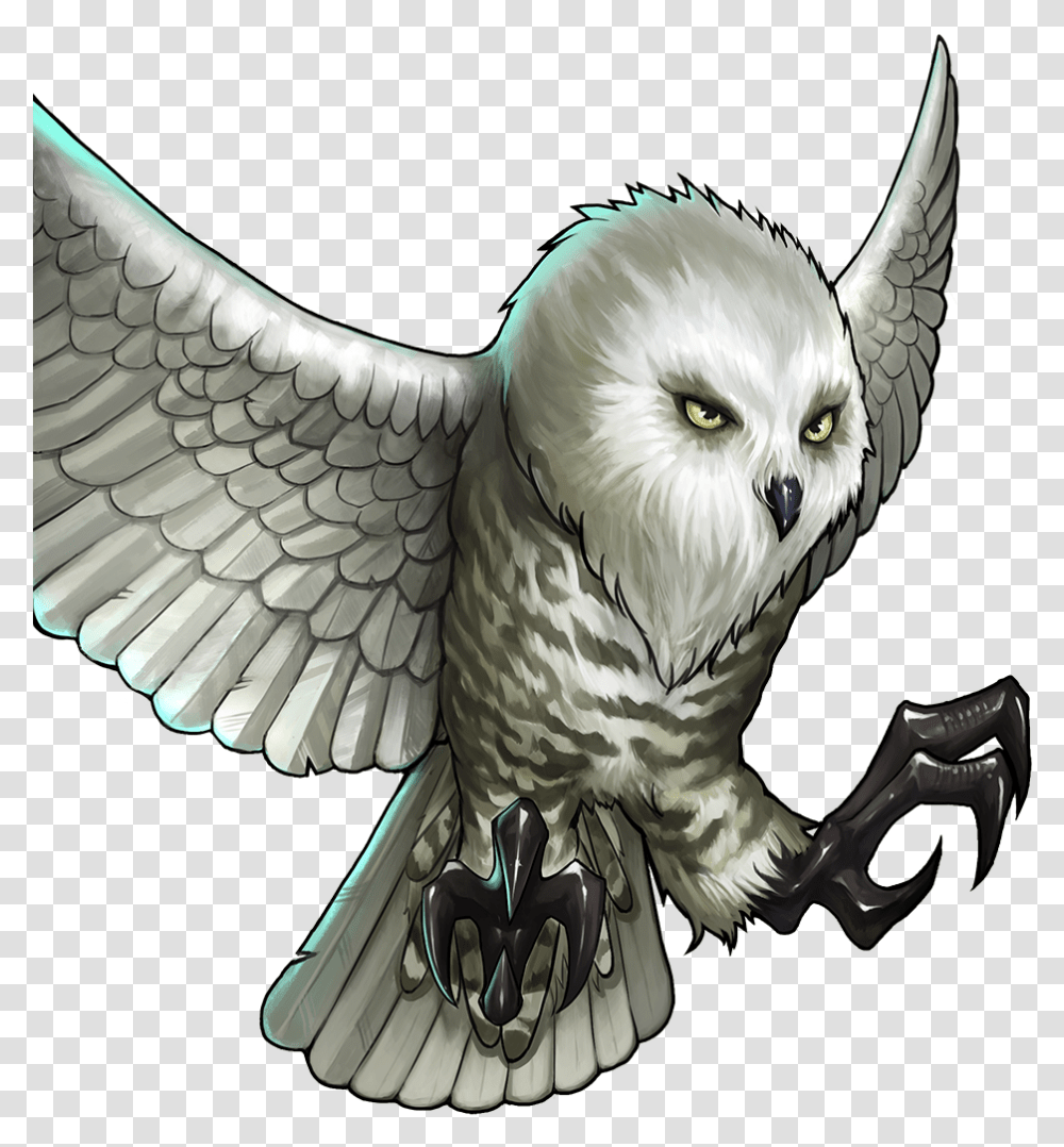 Gems Of War Wikia Snowy Owl, Bird, Animal, Beak Transparent Png
