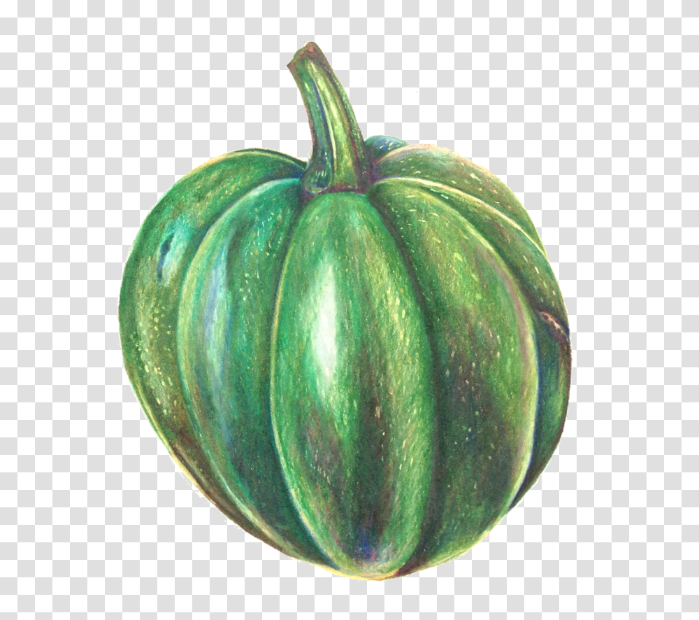 Gemsquash Pumpkin, Plant, Vegetable, Food, Produce Transparent Png