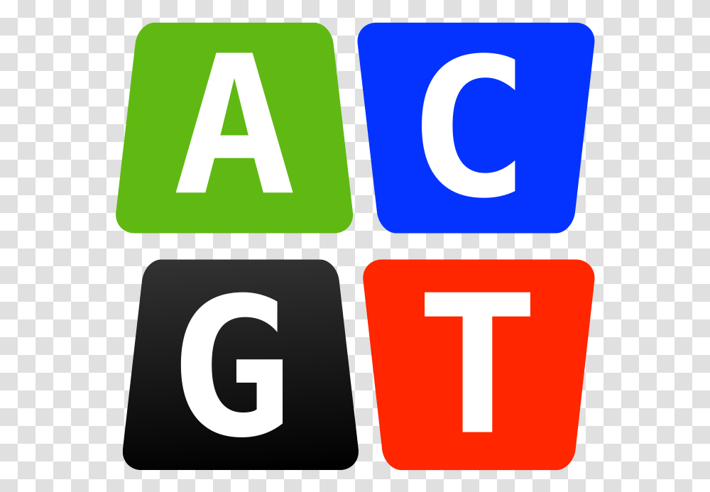 Gender Icon Acgt, Number, Word Transparent Png