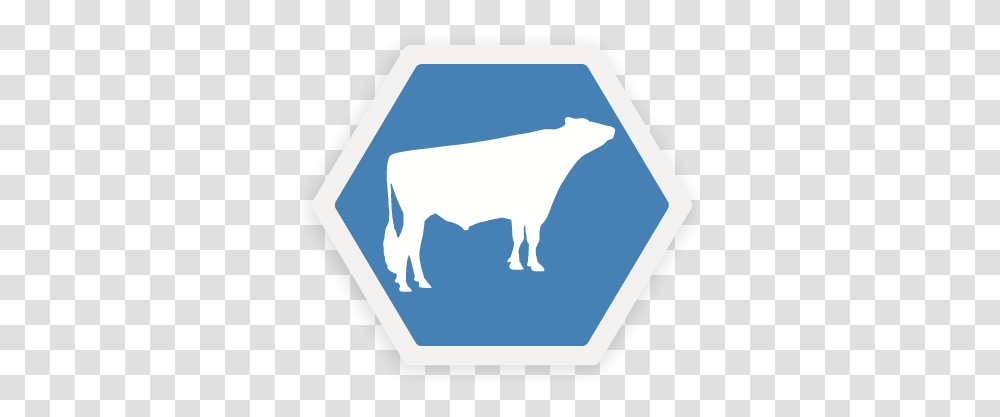 Gender Selected Cow, Animal, Mammal, Cattle, Symbol Transparent Png