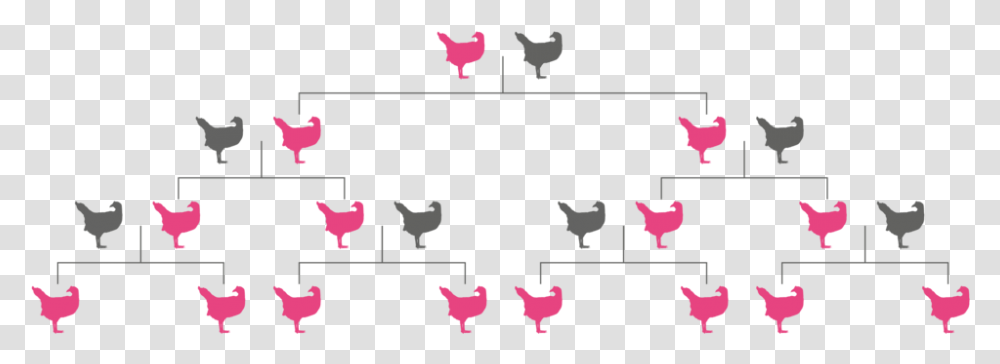 Gene Drive Inheritance Pink Chickens Modification, Alphabet, Rug Transparent Png
