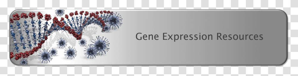 Gene Expression Resources Poppy, Rug, White Board, Envelope Transparent Png