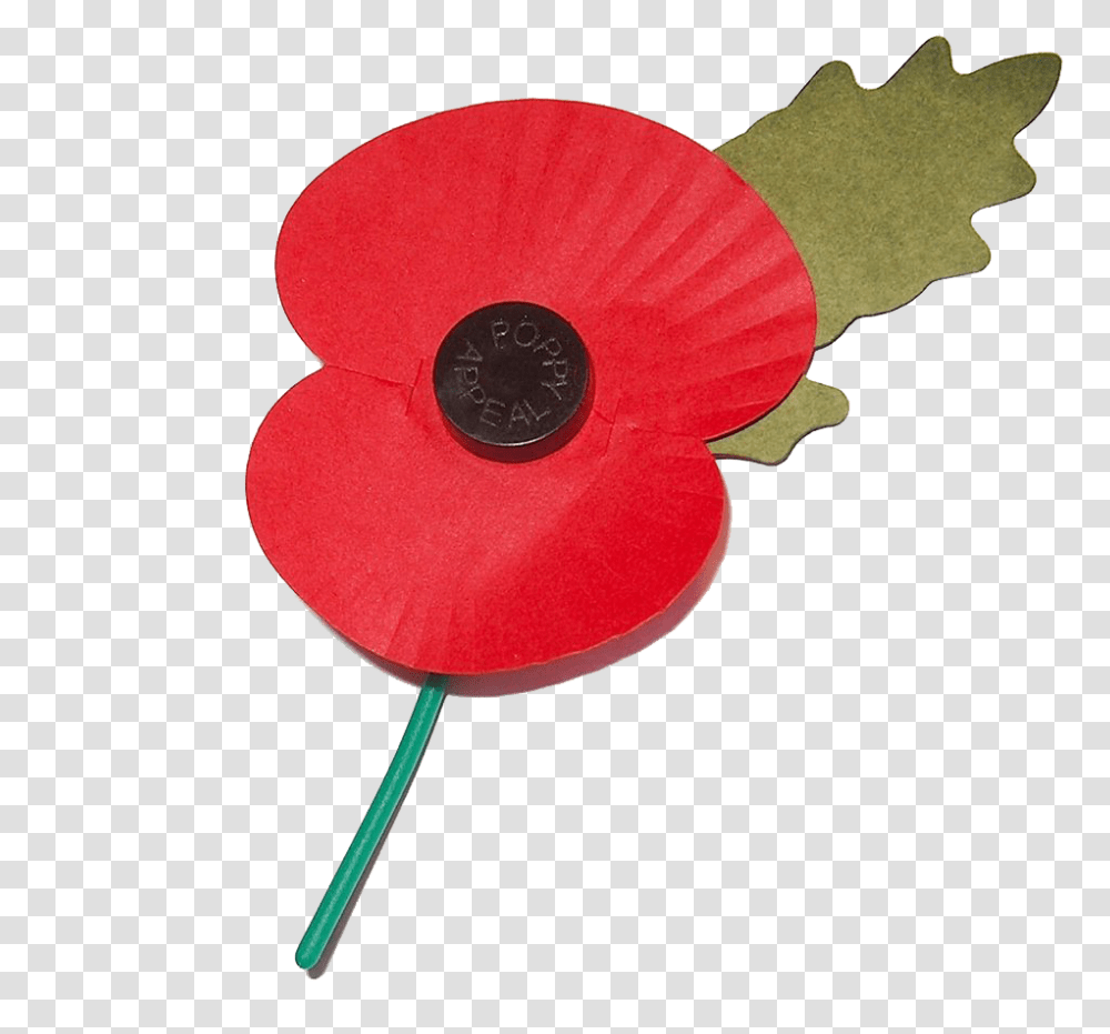 General Boles On Twitter Fing Amateurs Didnt Even Use, Plant, Flower, Blossom, Poppy Transparent Png