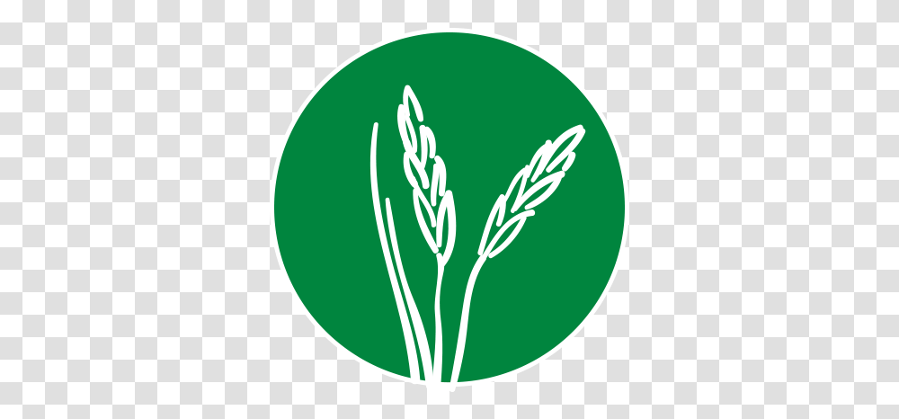 General North Orange County Rop, Plant, Logo, Symbol, Grass Transparent Png