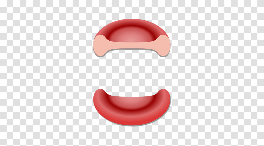 General Structure And Functions Of Red Blood Cells, Mouth, Lip, Teeth, Tongue Transparent Png