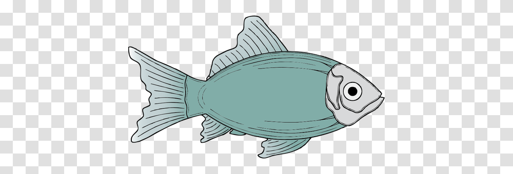 Generic Blue Fish Vector Illustration Fish Clip Art, Tuna, Sea Life, Animal, Bonito Transparent Png