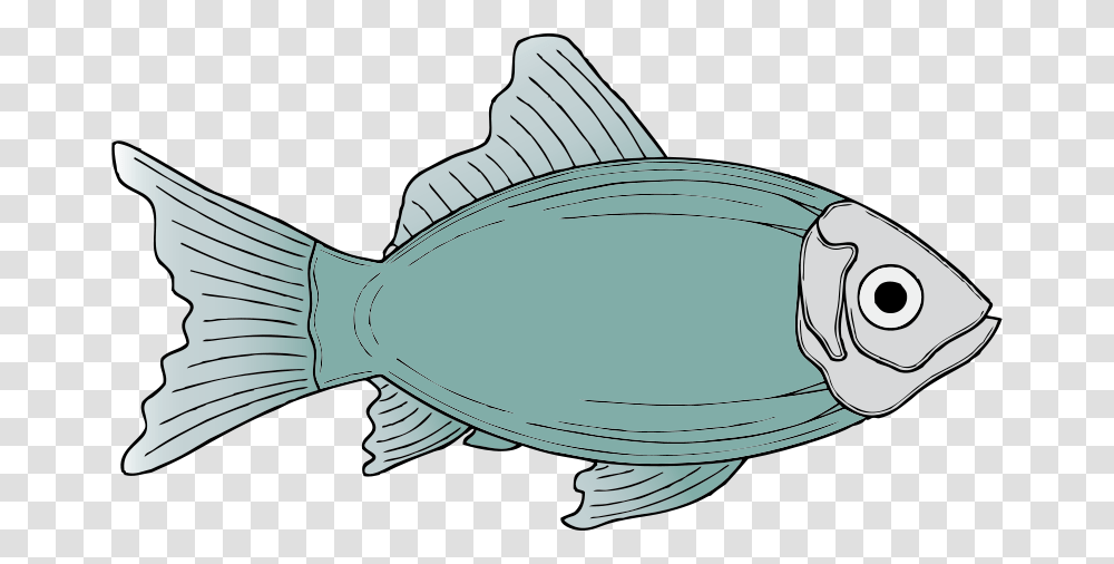 Generic Fish Fish Clip Art, Tuna, Sea Life, Animal, Bonito Transparent Png