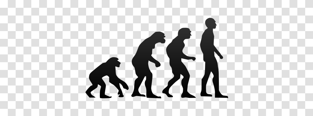 Genetic Similarity To Apes Not Quite, Silhouette, Person, People, Crowd Transparent Png
