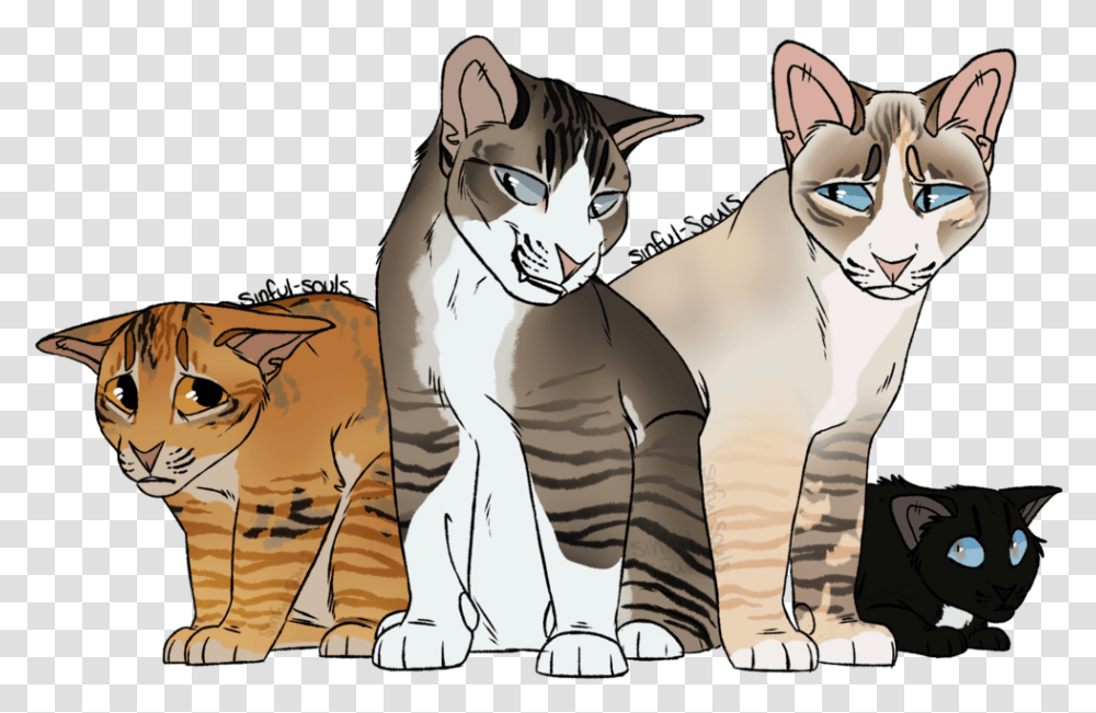 Genetically Correct Warrior Cats, Pet, Mammal, Animal, Person Transparent Png