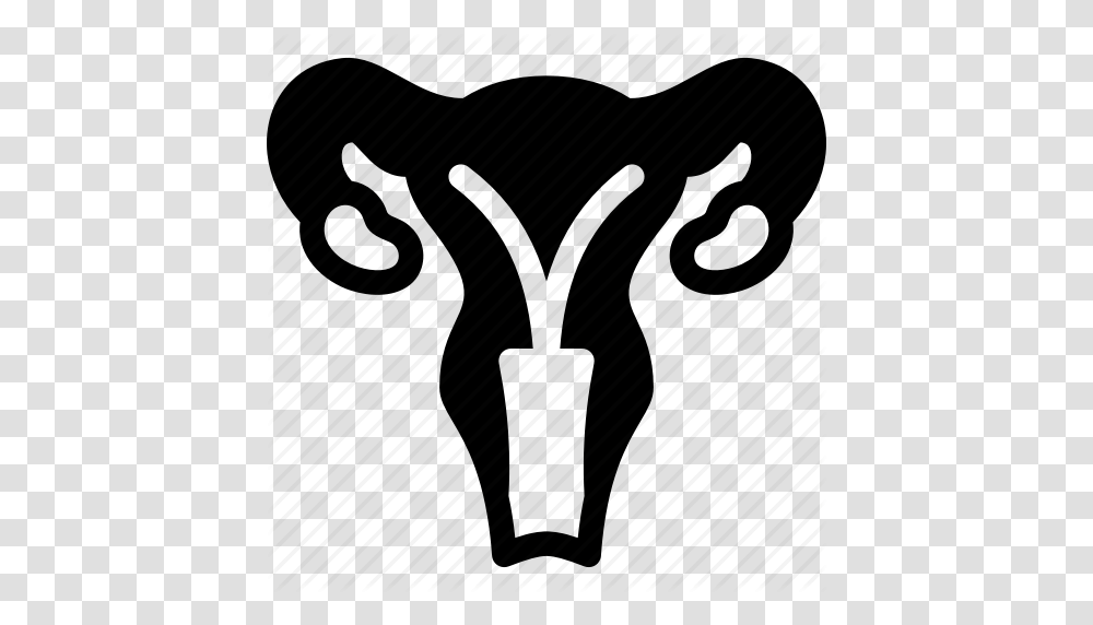 Genitals Gynecology Health Medical Ovaries Reproductive, Piano, Leisure Activities, Musical Instrument, Kneeling Transparent Png