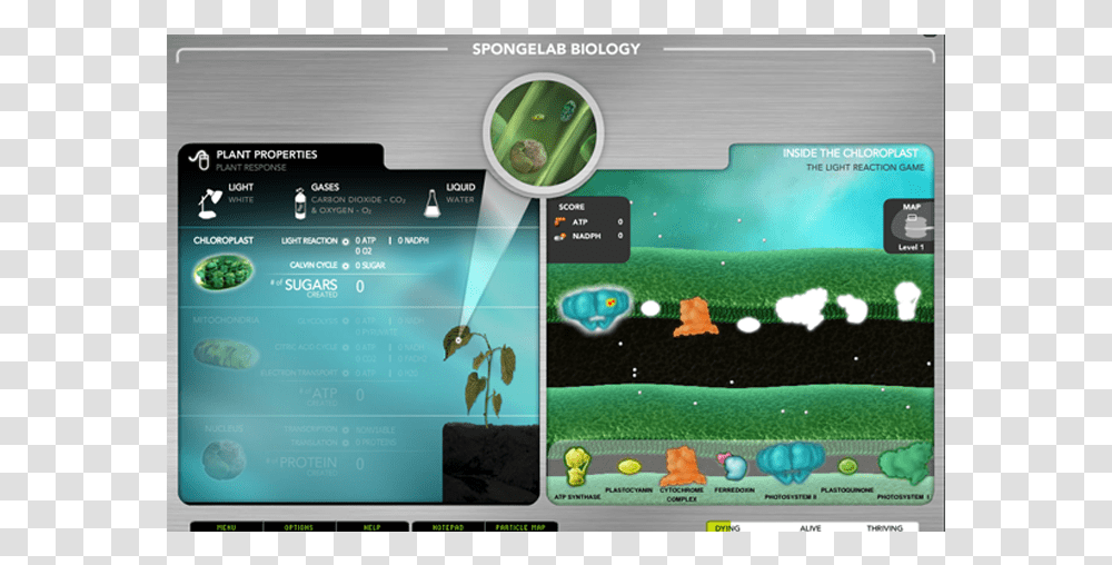 Genomics Picture Genomics Digital Lab, Outdoors, Nature, Plant, Vegetation Transparent Png