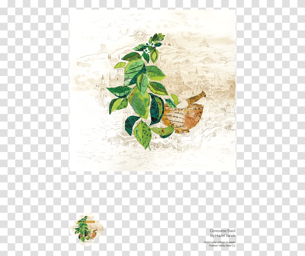 Genovese Basil Fine Art Poster Floral Design, Plant, Leaf, Painting, Fruit Transparent Png