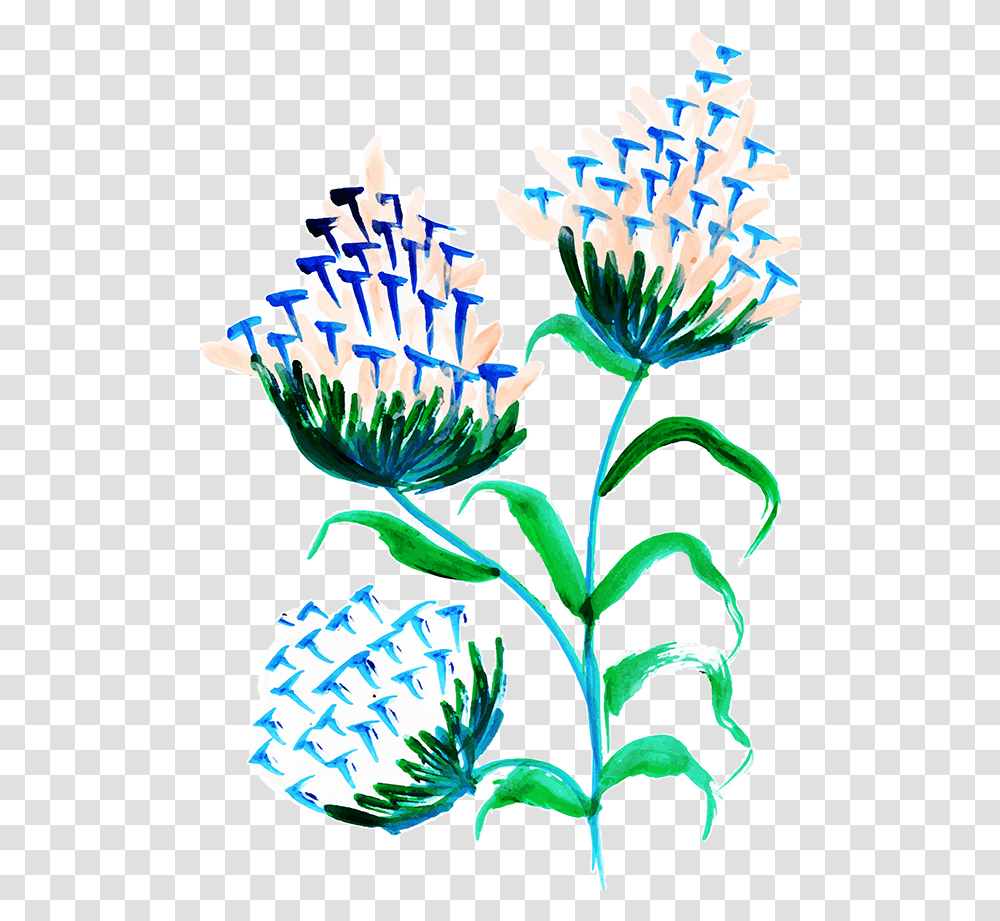 Gentiana, Plant, Flower, Iris, Daisy Transparent Png