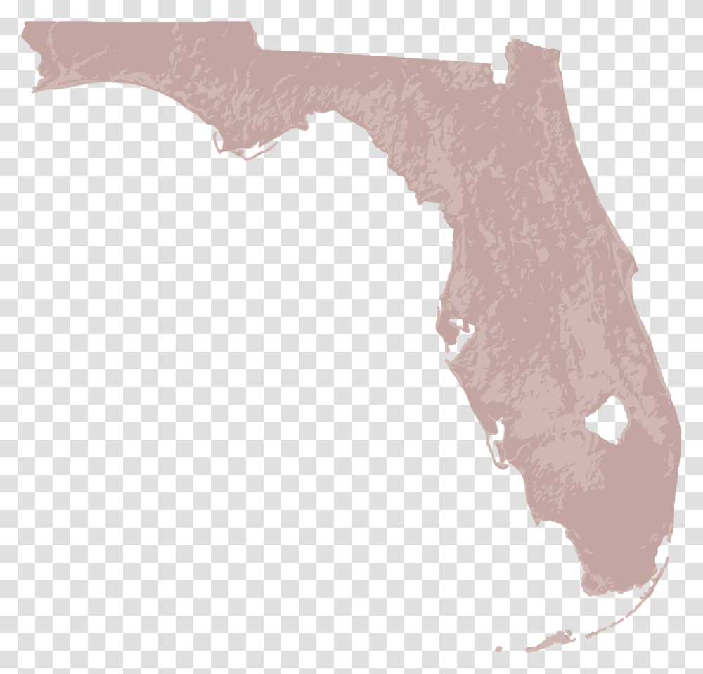 Geographical Map Of Florida, Plot, Hip, Stain, Diagram Transparent Png
