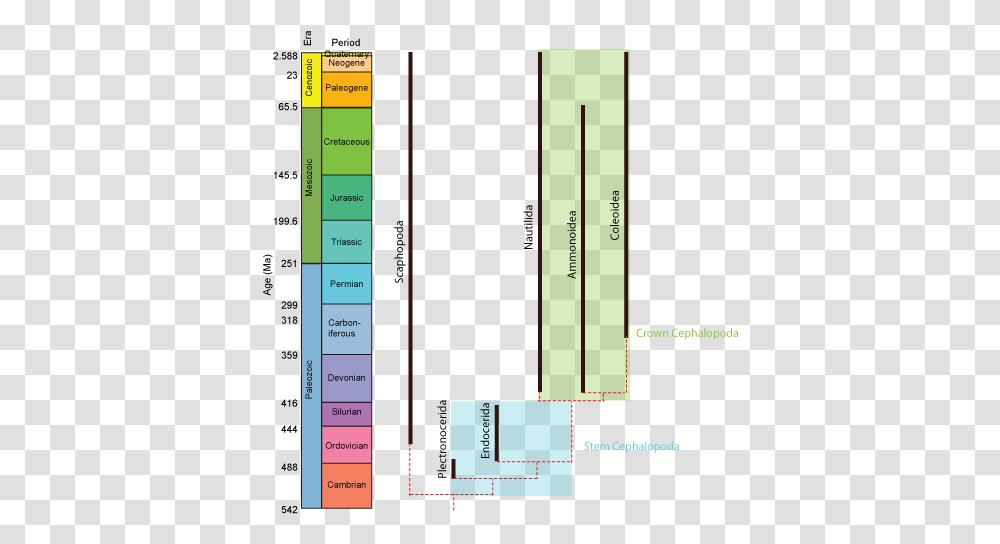 Geol 204 The Fossil Record Tree Of Life Reconstructing Statistical Graphics, Plot, Diagram, Plan, Text Transparent Png