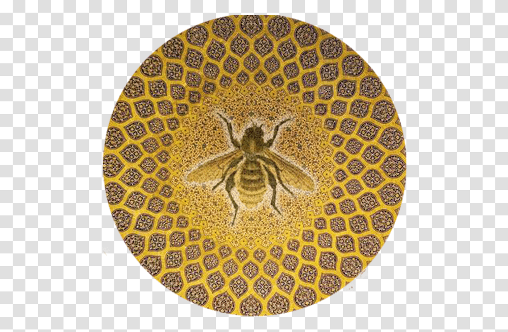 Geometric Pattern In Mosque, Rug, Animal, Invertebrate, Insect Transparent Png