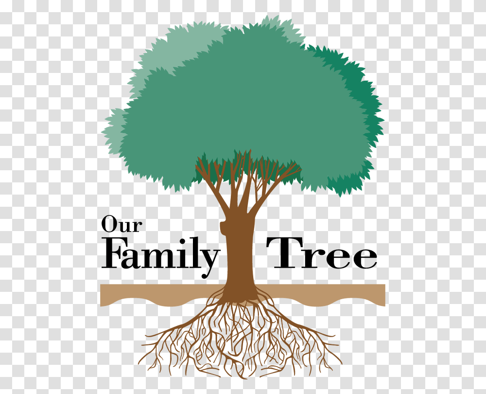 George And Mary Jones Family Reunion Jpg Black And Family Tree Five Members, Plant, Root, Palm Tree, Arecaceae Transparent Png