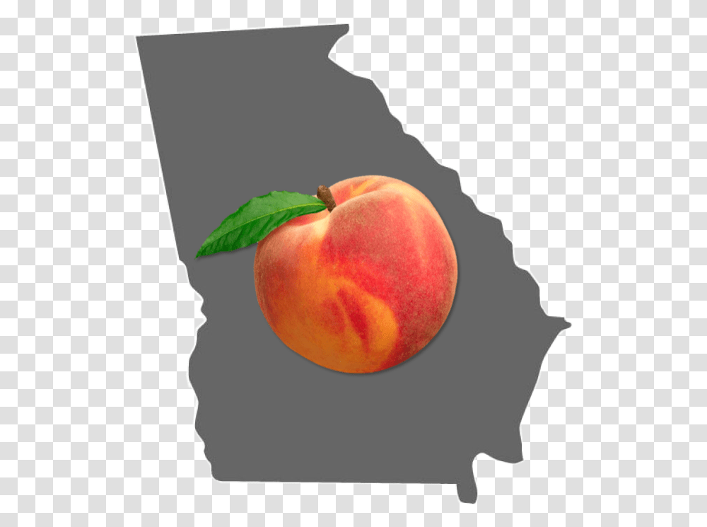 Georgia Atlanta Peach State State American Savanah Nectarine, Plant, Apple, Fruit, Food Transparent Png