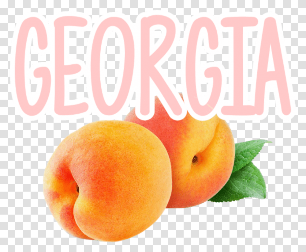Georgia Fruit Peach Peach, Plant, Food, Produce, Orange Transparent Png