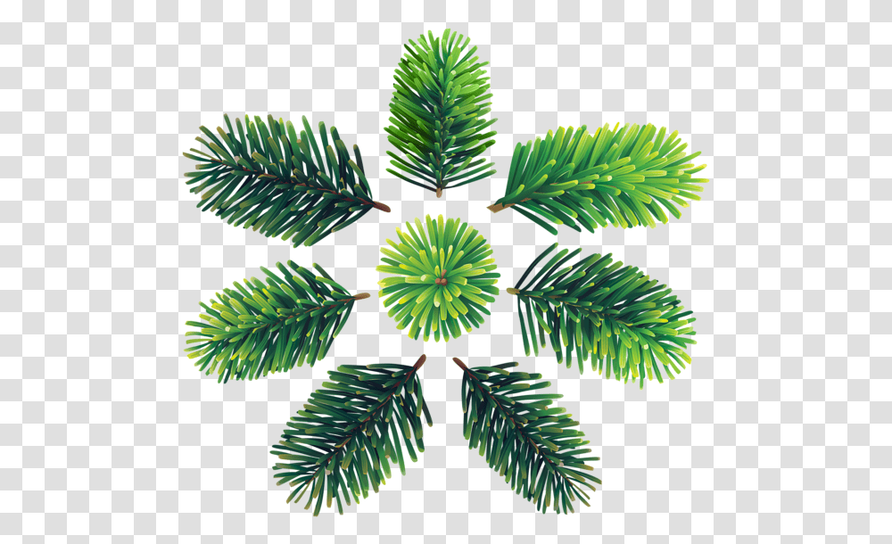 Georgia Pine, Tree, Plant, Leaf, Bush Transparent Png