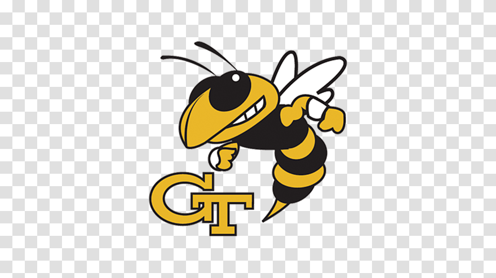 Georgia Tech Fanouflage, Wasp, Bee, Insect, Invertebrate Transparent Png