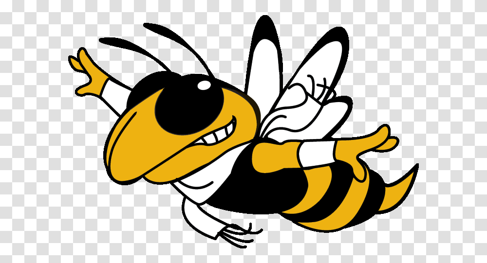 Georgia Tech Yellow Jacket, Wasp, Bee, Insect, Invertebrate Transparent Png