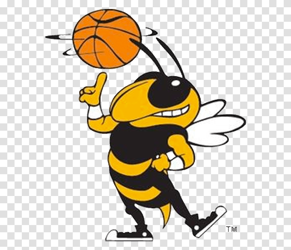 Georgia Tech Yellow Jackets Download Yellow Jacket With Basketball, Animal, Insect, Invertebrate, Honey Bee Transparent Png
