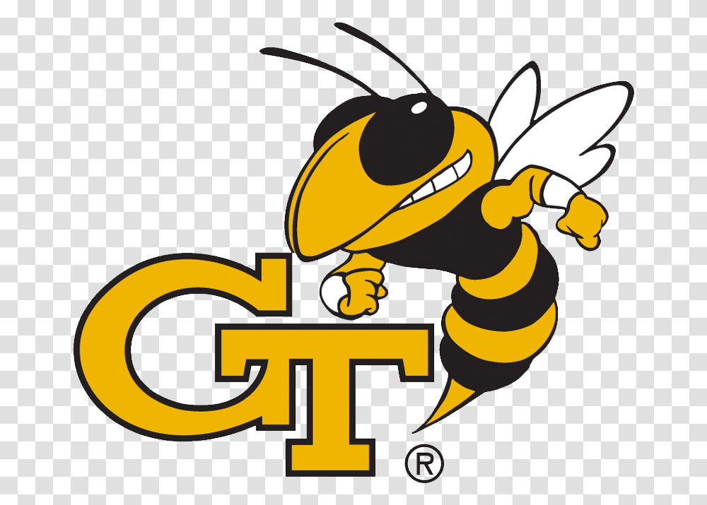 Georgia Tech Yellow Jackets, Wasp, Bee, Insect, Invertebrate Transparent Png