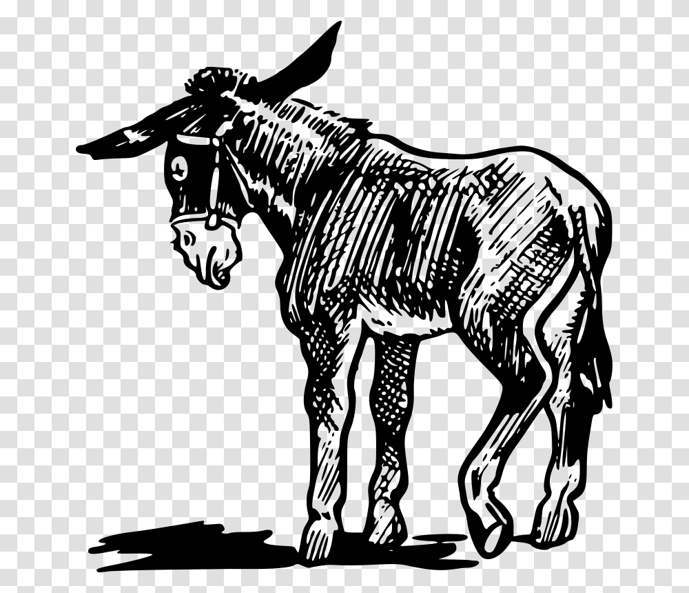 Gerald G Donkey, Animals, Gray, World Of Warcraft Transparent Png