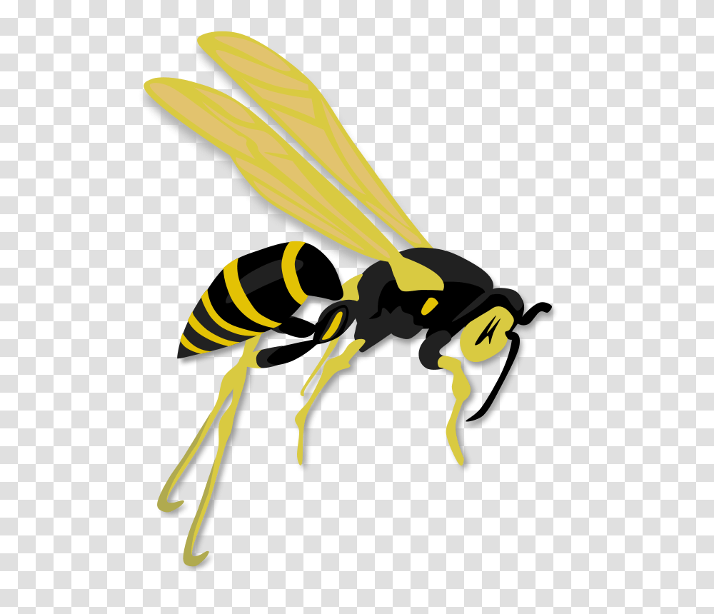 Gerald G Flying Wasp, Animals, Bee, Insect, Invertebrate Transparent Png