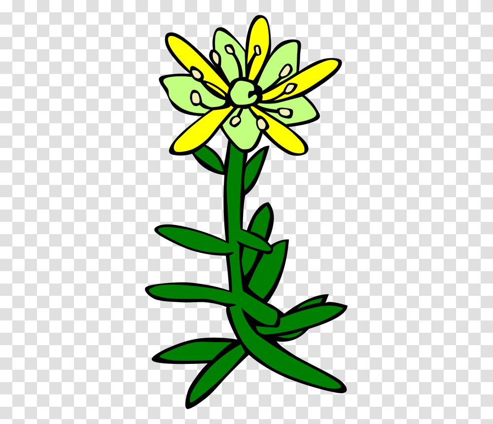 Gerald G GG Saxifraga Aizoides, Nature, Plant, Flower, Blossom Transparent Png