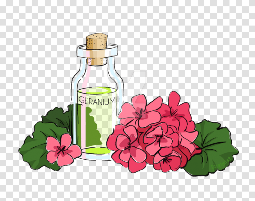 Geranium Essential Oil, Bottle, Petal, Flower, Plant Transparent Png