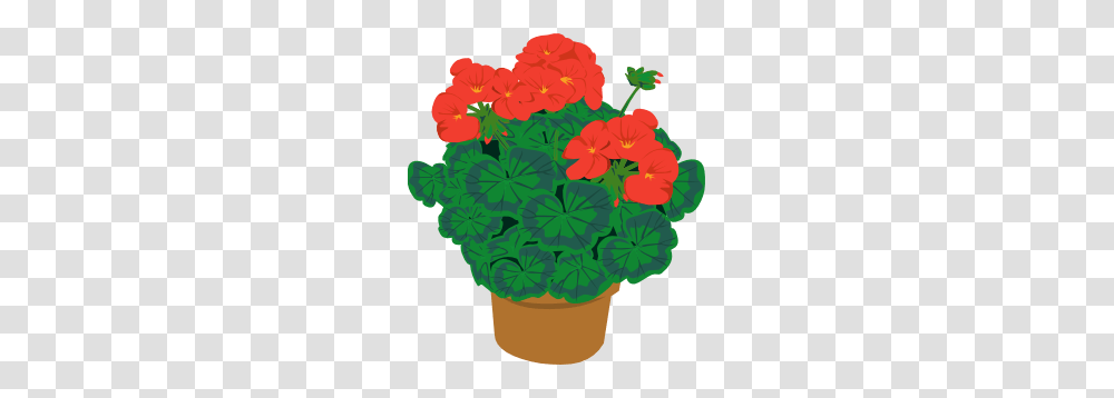 Geranium In Pot Clip Art, Flower, Plant, Blossom Transparent Png