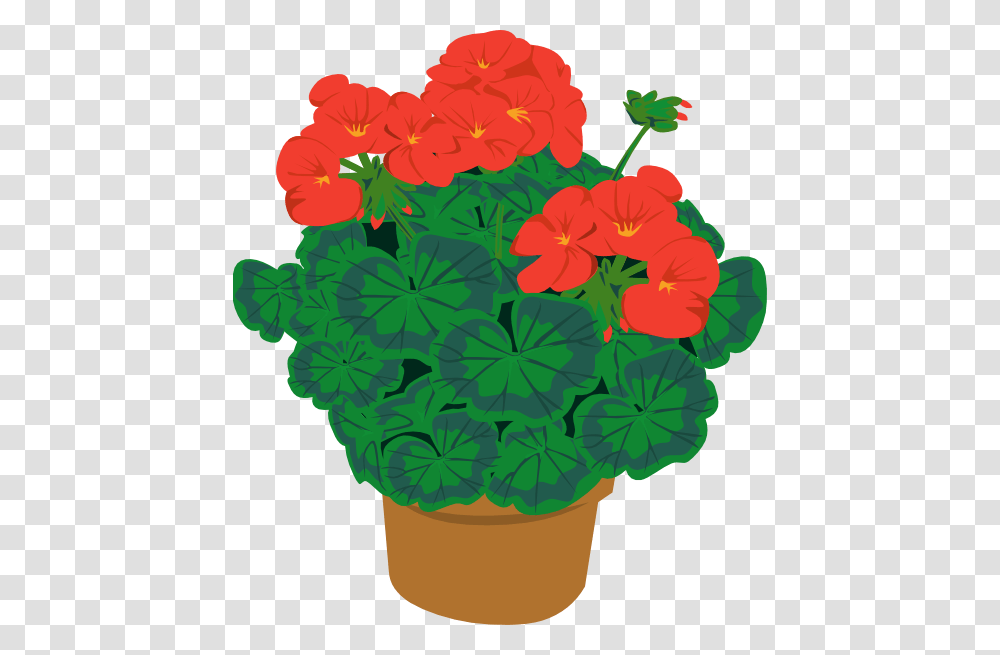 Geranium In Pot Clip Art Free Vector, Flower, Plant, Blossom Transparent Png