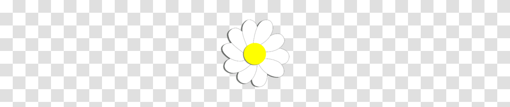 Gerber Daisy Clipart Clip Art, Flower, Plant, Daisies, Blossom Transparent Png