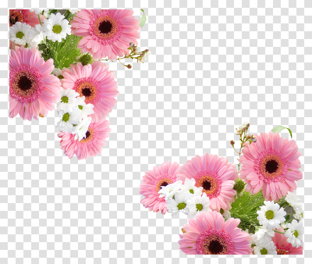 Gerbera Nature, Plant, Flower, Blossom Transparent Png